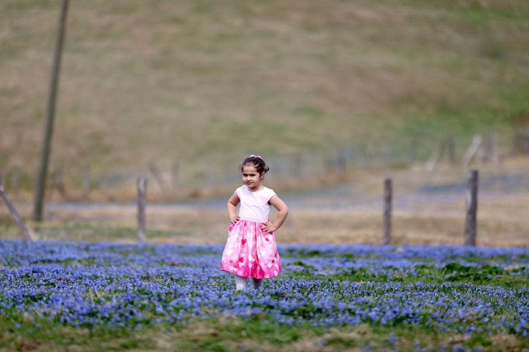 Türkiye'nin gizli cenneti mor renge büründü - Resim: 9